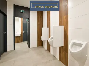 Pronájem kanceláře, Praha, Radlická, 1000 m2