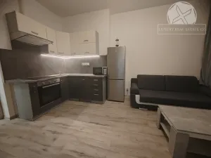 Pronájem bytu 2+kk, Praha - Nové Město, Školská, 27 m2