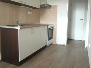 Pronájem bytu 2+1, Brno, Štefánikova, 60 m2