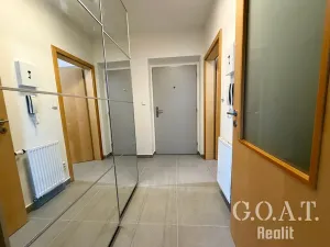 Pronájem bytu 1+kk, Plzeň, Vysoká, 38 m2