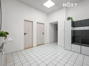 Pronájem kanceláře, Brno, Křenová, 100 m2