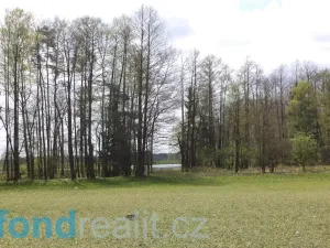 Prodej pozemku, Stráž nad Nežárkou, 6528 m2