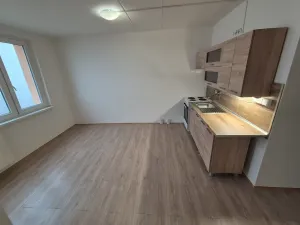 Prodej bytu 1+1, Chomutov, Zahradní, 35 m2