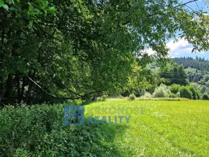 Prodej louky, Trutnov - Babí, 68585 m2