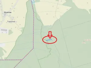 Prodej lesa, Dvory nad Lužnicí, 3483 m2