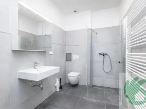 Pronájem bytu 1+kk, Kralupy nad Vltavou, S. K. Neumanna, 38 m2