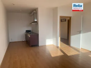 Pronájem bytu 2+kk, Liberec, Americká, 61 m2