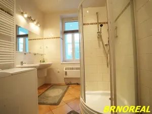 Prodej bytu 5+1, Brno, Střední, 178 m2