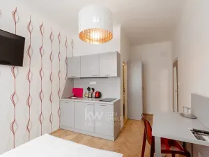 Pronájem bytu 1+kk, Praha - Nusle, Na Jezerce, 18 m2