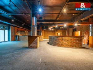 Pronájem obchodního prostoru, Praha, Trnkovo náměstí, 324 m2