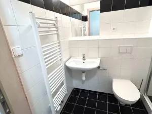 Pronájem bytu 1+kk, Praha - Smíchov, Křížová, 20 m2