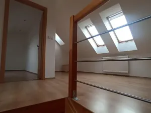 Pronájem bytu 4+kk, Teplice, Svatopluka Čecha, 210 m2
