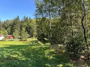 Dražba pozemku, Krompach, 21972 m2