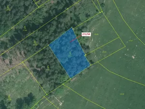 Dražba lesa, Milavče, 2102 m2