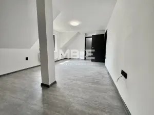 Pronájem rodinného domu, Dolní Lutyně, 240 m2