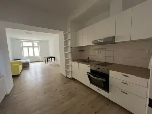 Prodej bytu 1+kk, Brno, Stará, 45 m2