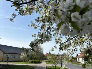 Prodej pozemku pro bydlení, Loučeň, Spojovací, 1321 m2