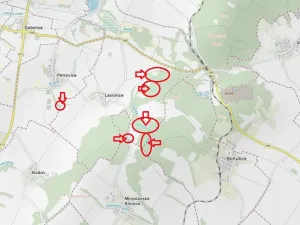 Prodej podílu lesa, Lesonice, 6189 m2