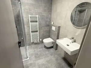 Pronájem bytu 1+kk, Přerov, Seifertova, 39 m2