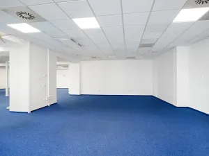 Pronájem kanceláře, Brno, Masarykova, 505 m2