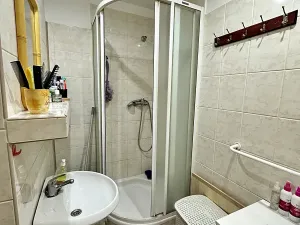 Prodej bytu 1+kk, Kladno, Na růžovém poli, 27 m2