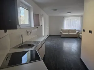 Pronájem rodinného domu, Brno, Pompova, 90 m2