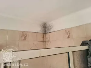 Dražba rodinného domu, Chomutov, Spořická, 162 m2