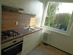 Pronájem bytu 3+1, Ústí nad Labem, Dr. Horákové, 90 m2