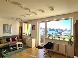 Pronájem bytu 3+kk, Praha - Podolí, Pod Pekařkou, 71 m2