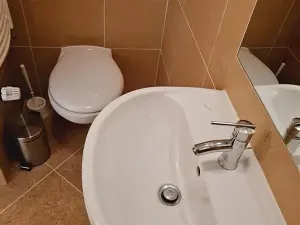 Pronájem bytu 3+kk, Praha - Vinohrady, Mánesova, 72 m2