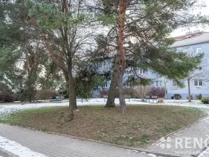 Pronájem bytu 1+1, Brno, Sibiřská, 29 m2