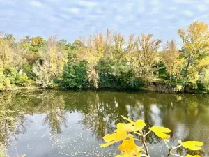 Pronájem bytu 2+kk, Praha - Libeň, Smrčkova, 55 m2