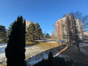 Prodej bytu 1+1, Brno - Kohoutovice, Prokofjevova, 36 m2