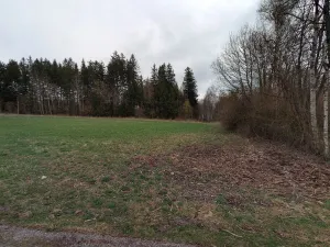 Prodej pole, Černá v Pošumaví, 2986 m2