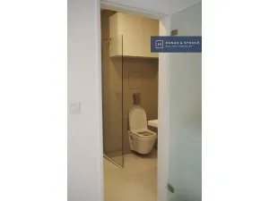 Pronájem bytu 1+kk, Brno, Rumiště, 25 m2