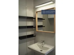 Pronájem bytu 1+kk, Brno, Rumiště, 25 m2