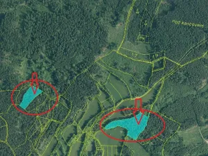 Prodej podílu lesa, Vlachovo Březí, 1357 m2