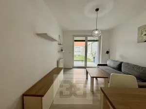Pronájem bytu 1+kk, Brno, Husovická, 40 m2