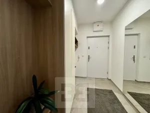 Pronájem bytu 1+kk, Brno, Husovická, 40 m2