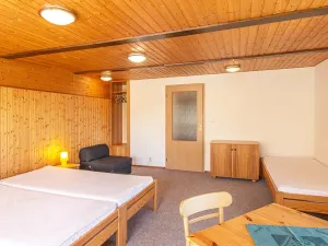 Prodej ubytování, Mařenice, 497 m2