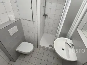 Pronájem bytu 1+1, Písek, 17. listopadu, 35 m2