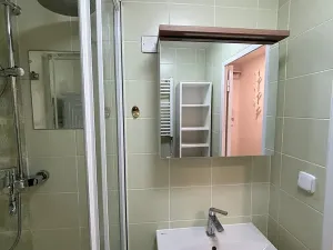 Pronájem pokoje, Olomouc, Přichystalova, 65 m2