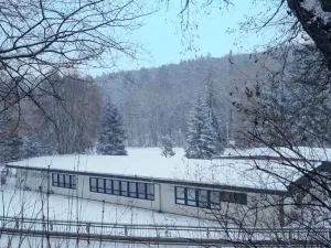 Pronájem bytu 2+kk, Peruc, U Koupaliště, 54 m2