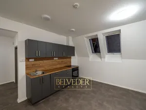 Pronájem bytu 3+kk, Teplice, Pražská, 48 m2