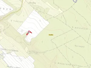 Prodej lesa, Horušice, 1029 m2