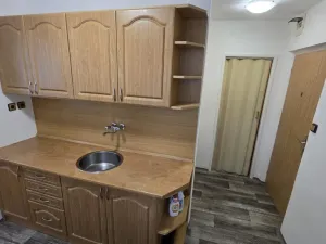 Pronájem bytu 1+1, U Zámeckého parku 840, 43601 Litvínov, 30 m2