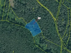 Dražba lesa, Jesenice, 1924 m2