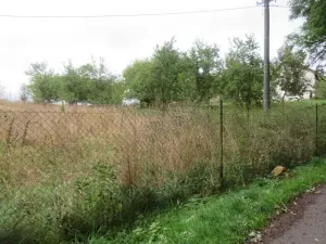 Dražba rodinného domu, Nové Syrovice, 474 m2