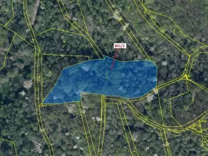 Dražba lesa, Zubrnice, 8765 m2