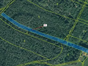 Dražba lesa, Jesenice, 2895 m2